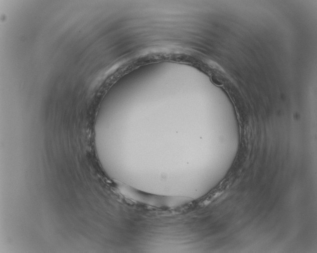 X0000068770822200605262204