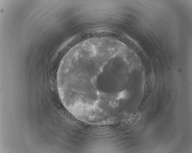 X0000068770823200605262204