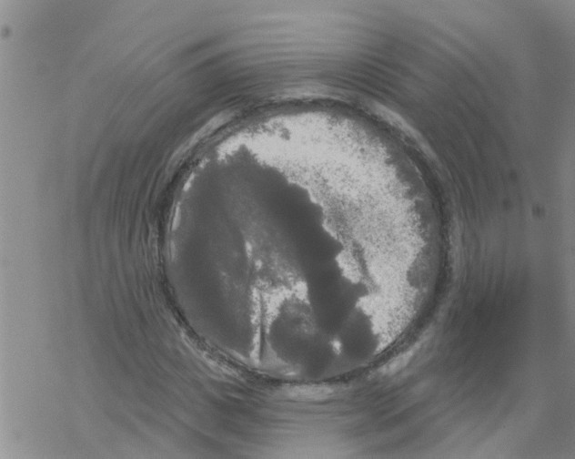 X0000068770825200605262204