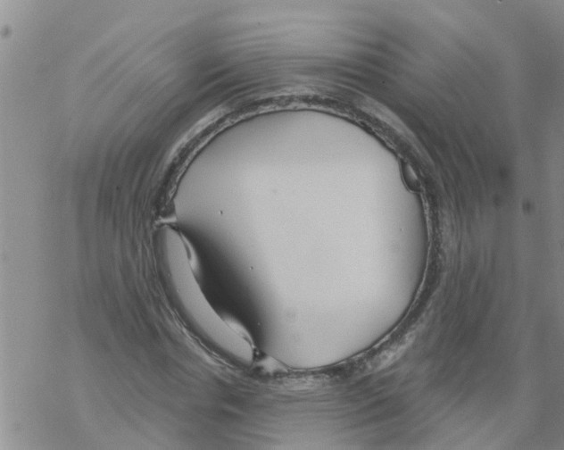 X0000068770826200605262204