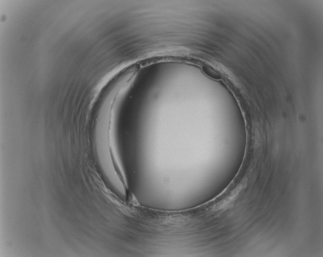 X0000068770830200605262204