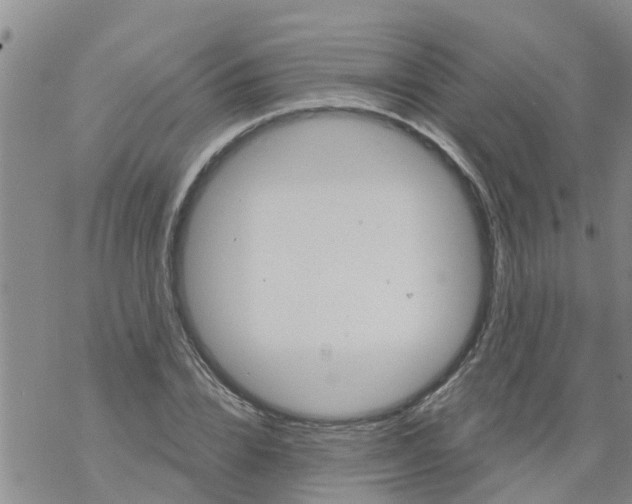 X0000068770832200605262204