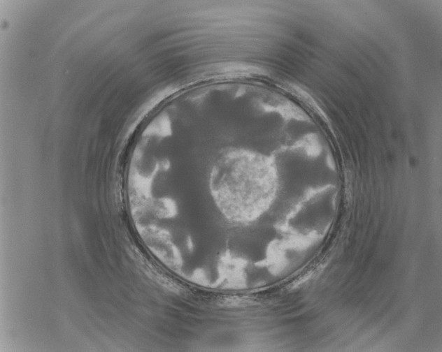 X0000068770835200605262204