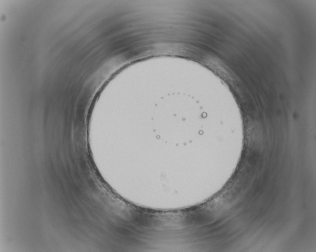 X0000068770836200605262204