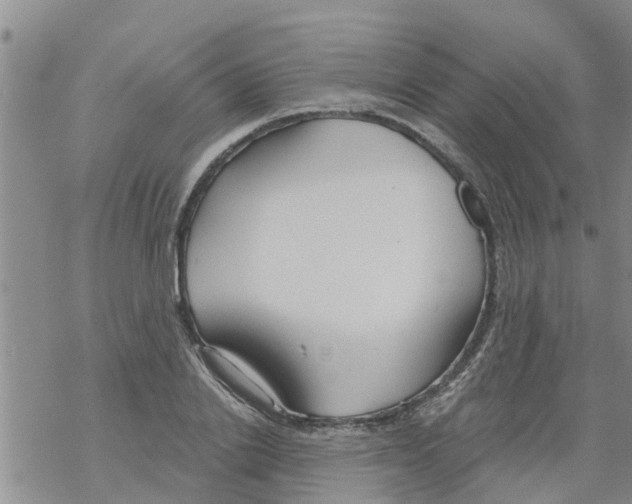 X0000068770838200605262204