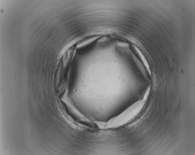 X0000068770842200605262204