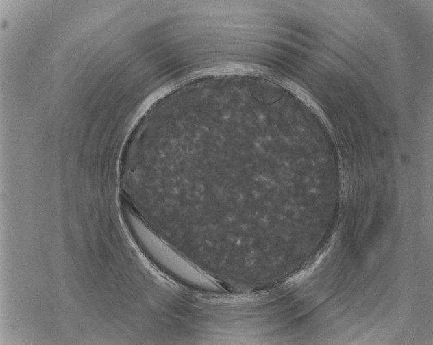 X0000068770845200605262204