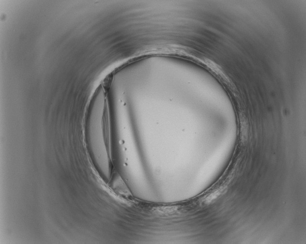 X0000068770846200605262204