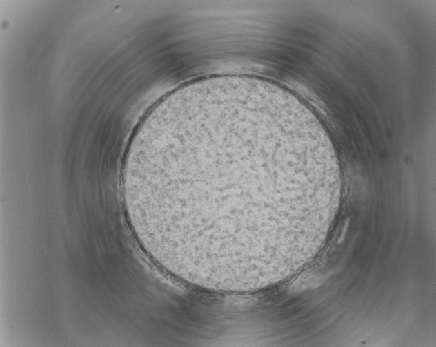 X0000068770848200605262204