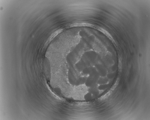 X0000068770849200605262204