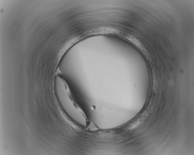 X0000068770850200605262204