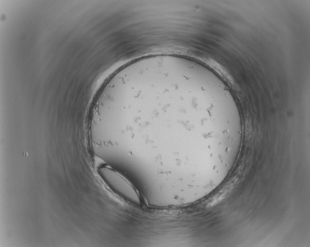 X0000068770854200605262204