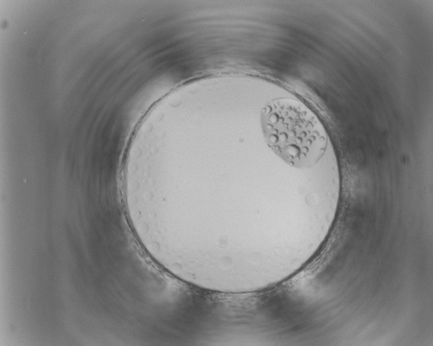 X0000068770856200605262204