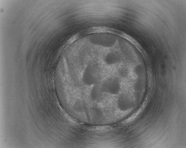 X0000068770857200605262204