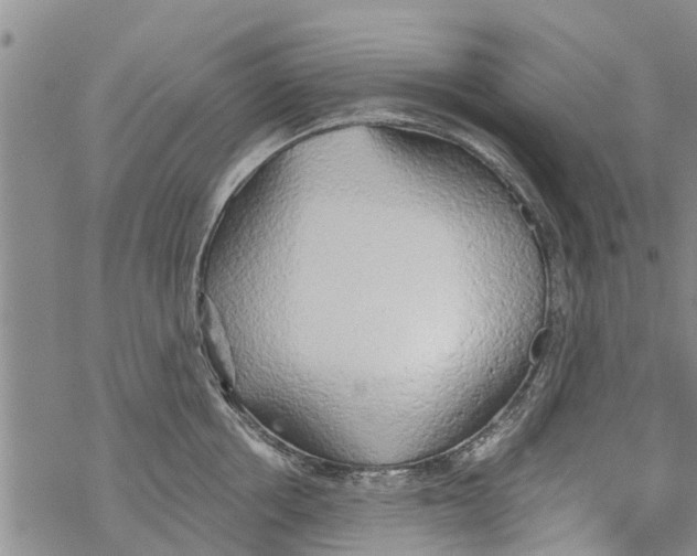 X0000068770858200605262204