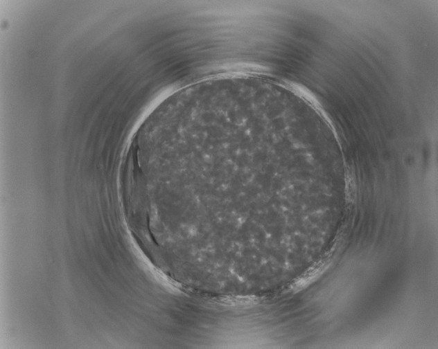 X0000068770859200605262204