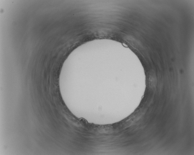 X0000068770865200605262204