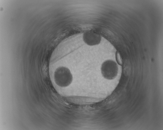 X0000068770866200605262204