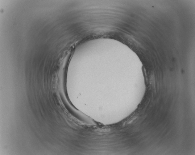 X0000068770868200605262204