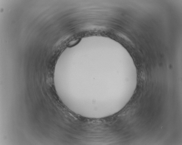 X0000068770869200605262204