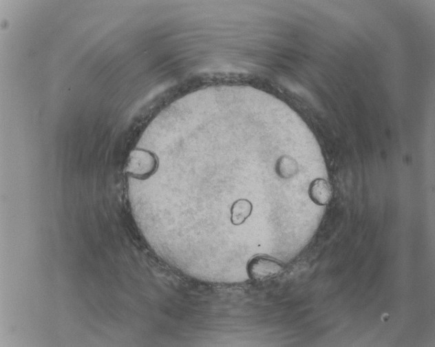 X0000068770870200605262203