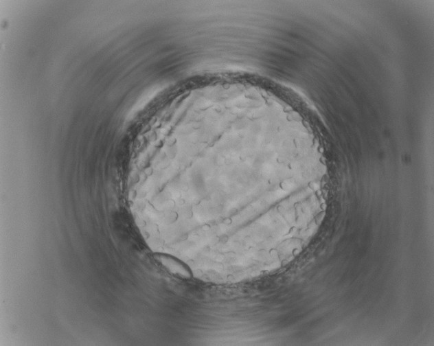 X0000068770871200605262203