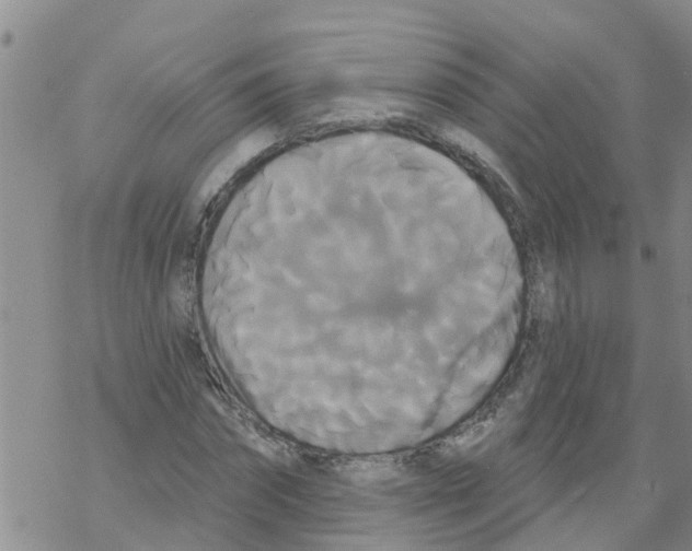 X0000068770874200605262203