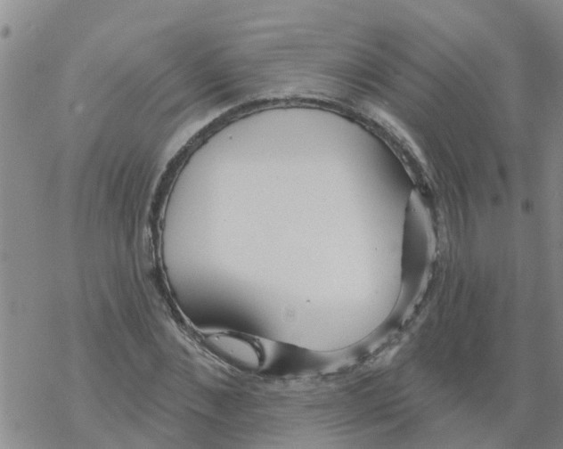 X0000068770876200605262203