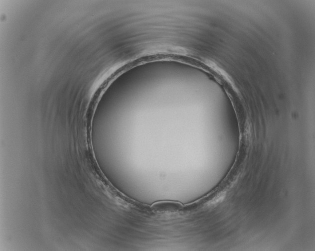 X0000068770877200605262203