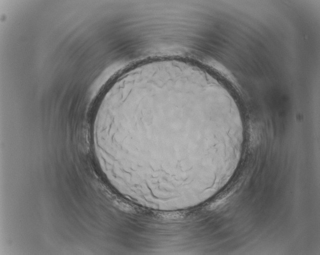 X0000068770878200605262203