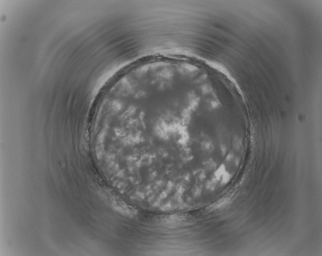 X0000068770879200605262203