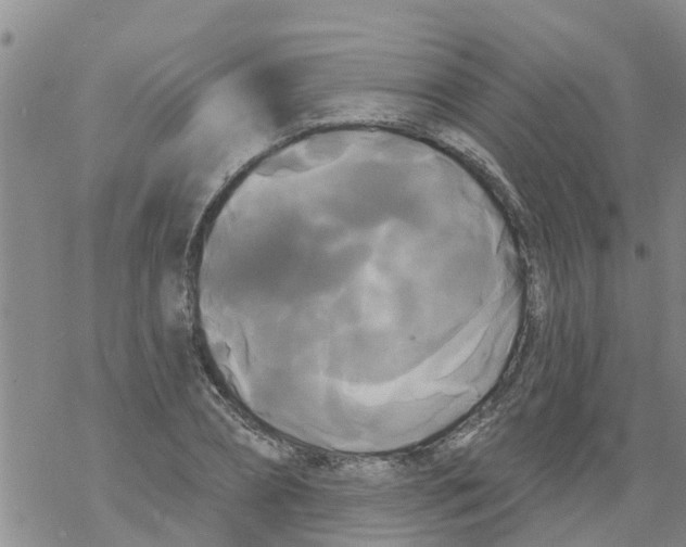 X0000068770882200605262203