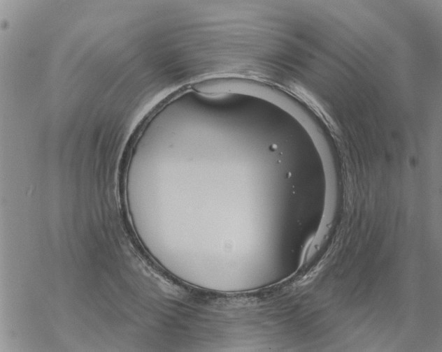 X0000068770884200605262203