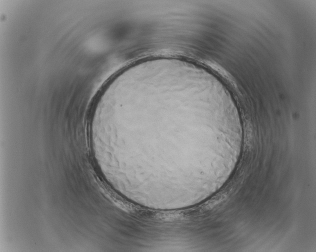 X0000068770886200605262203