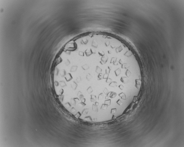 X0000068770887200605262203