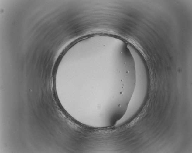 X0000068770888200605262203