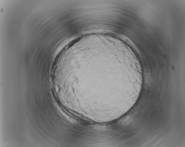 X0000068770890200605262203