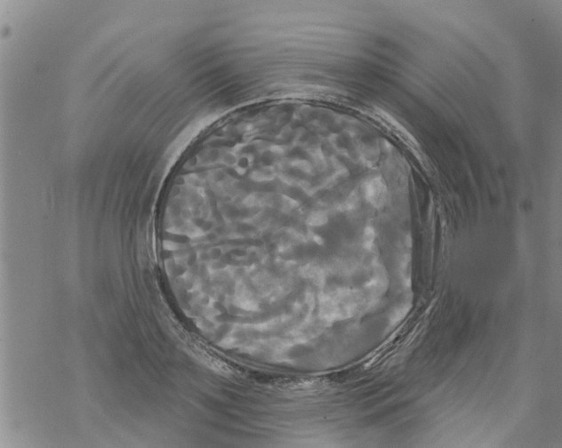 X0000068770891200605262203