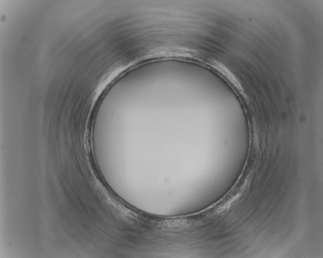 X0000068770893200605262203