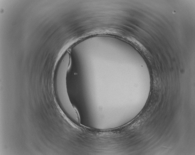 X0000068770894200605262203