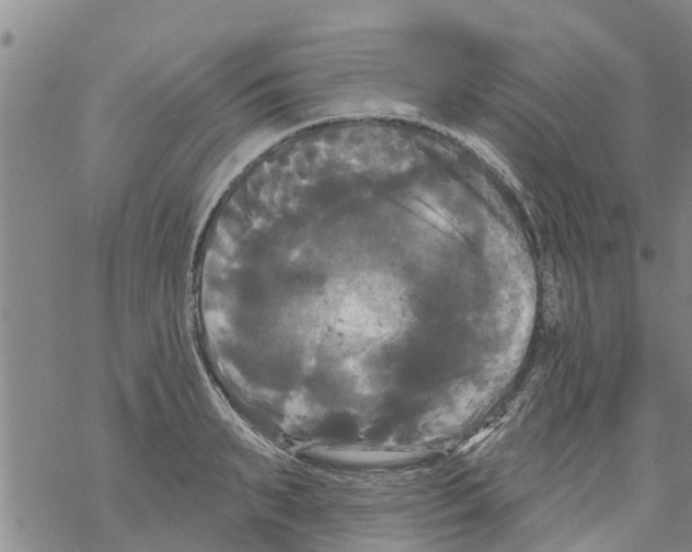 X0000068770895200605262203