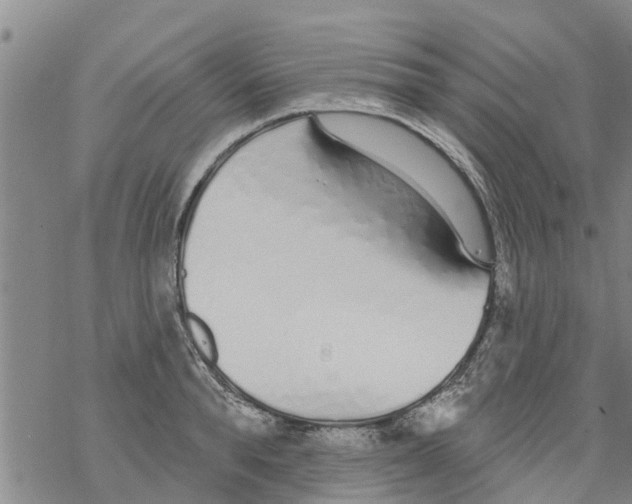 X0000068770896200605262203