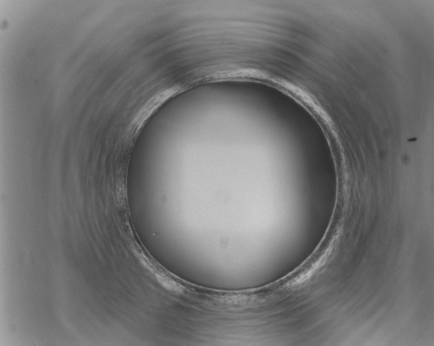 X0000068770897200605262203