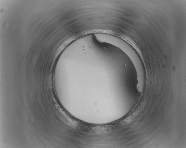 X0000068770898200605262203