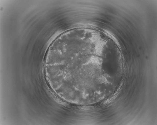 X0000068770899200605262203