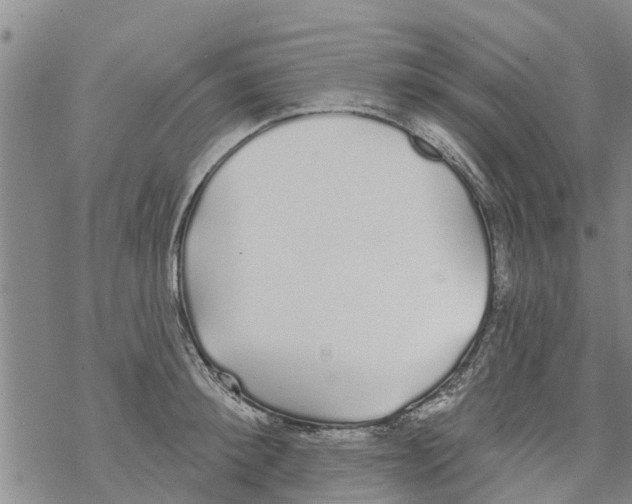 X0000068770900200605262203