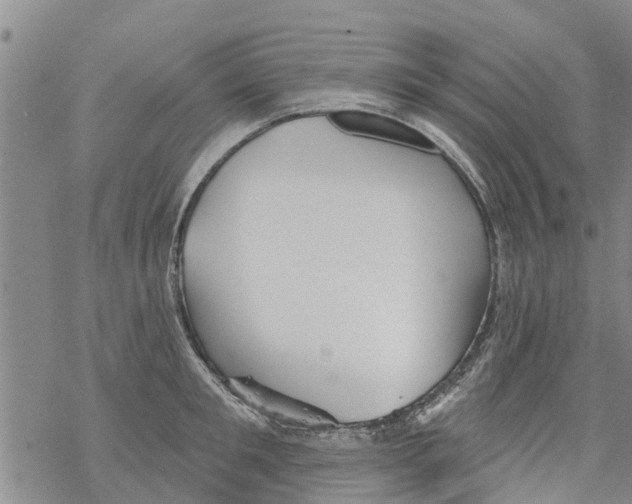 X0000068770901200605262203