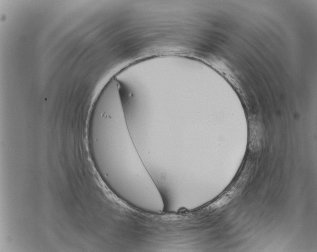 X0000068770904200605262203