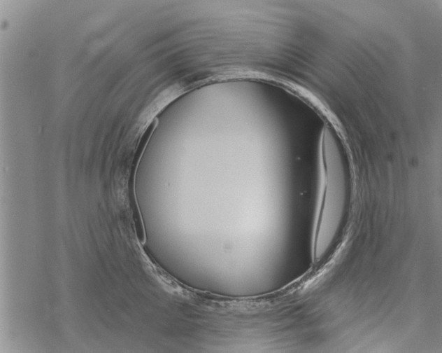 X0000068770905200605262203