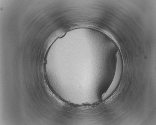 X0000068770906200605262203